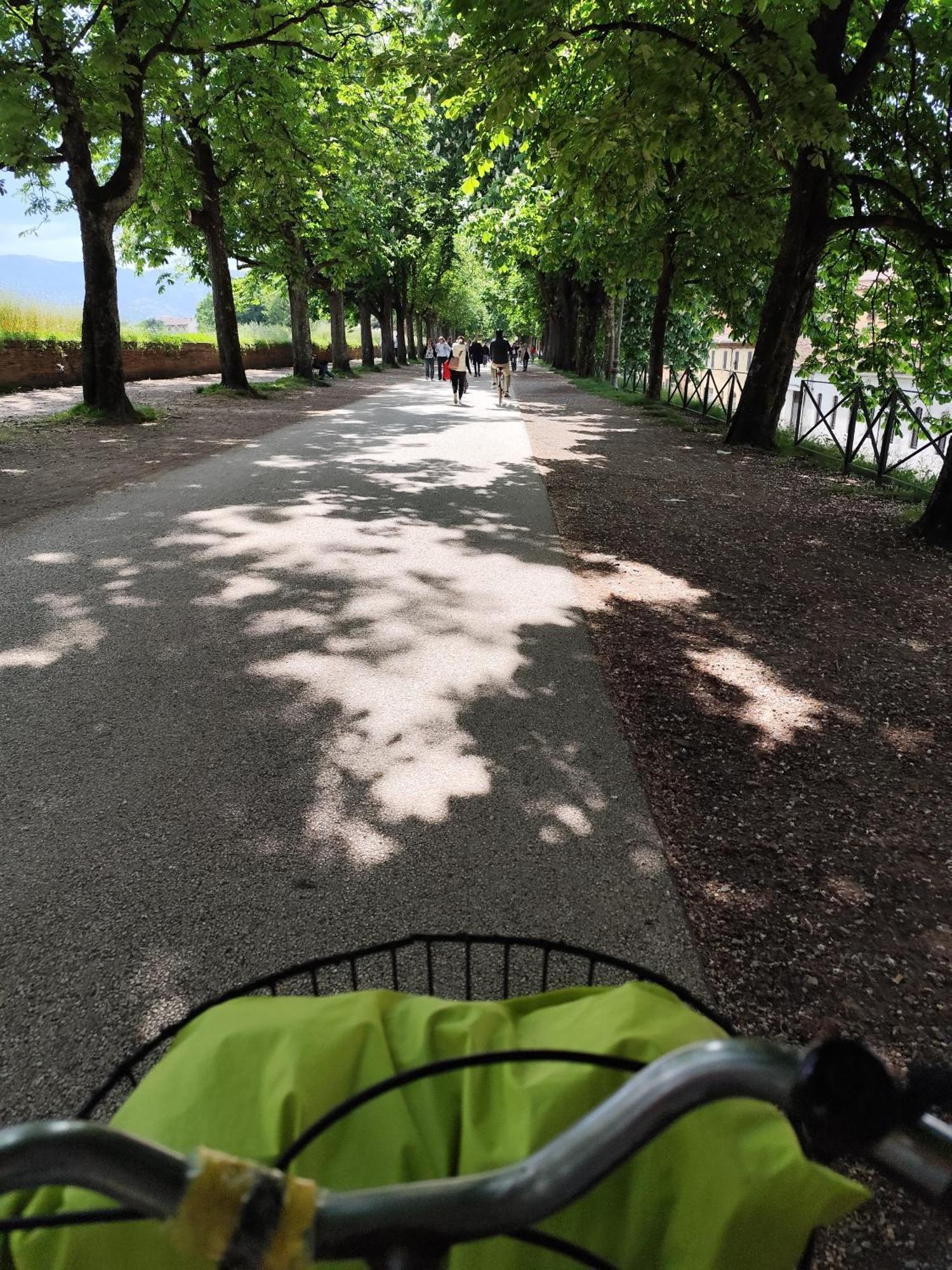 Casa Rosina + Box Per Auto 2 Bici 1,5Km Dalle Mura Lucca Buitenkant foto